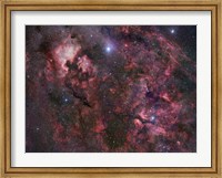 Framed Northern Cygnus