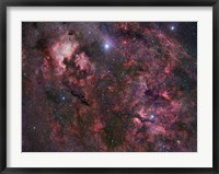 Framed Northern Cygnus