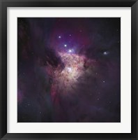 Framed Center of the Orion Nebula (The Trapezium Cluster)