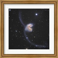 Framed Antennae Galaxies in the constellation Corvus