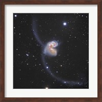 Framed Antennae Galaxies in the constellation Corvus