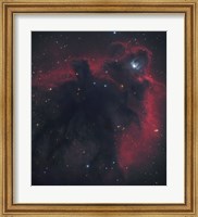 Framed Cometary Globule in Orion