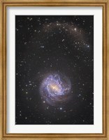 Framed Messier 83 and its Northern Stellar Tidal Stream