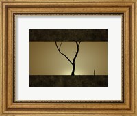 Framed Tree at Sunset