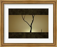 Framed Tree at Sunset