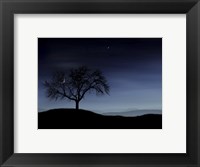 Framed Tree and the Moon
