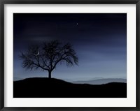 Framed Tree and the Moon