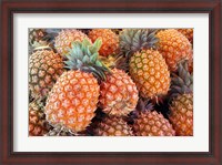 Framed Pineapples, Sunshine Coast, Queensland, Australia