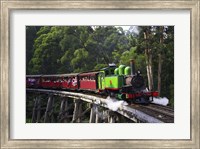 Framed Puffing Billy Steam Train, Dandenong Ranges, near Melbourne, Victoria, Australia