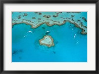 Framed Australia, Whitsunday Islands, Heart Reef