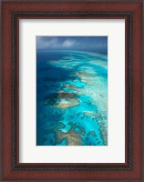 Framed Arlington Reef, Great Barrier Reef Marine Park, North Queensland, Australia