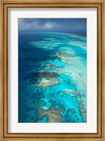 Framed Arlington Reef, Great Barrier Reef Marine Park, North Queensland, Australia