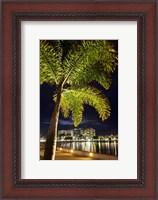 Framed Cairns, waterfront at night, North Queensland, Australia