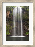Framed Millaa Millaa Falls, Queensland, Australia