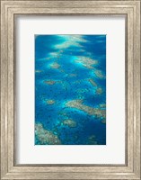 Framed Undine Reef, Great Barrier Reef, Queensland, Australia