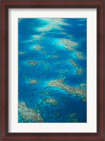 Framed Undine Reef, Great Barrier Reef, Queensland, Australia