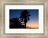Framed Palm Trees, Sunset, Stuart Highway, Outback, Australia