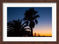 Framed Palm Trees, Sunset, Stuart Highway, Outback, Australia