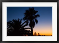 Framed Palm Trees, Sunset, Stuart Highway, Outback, Australia