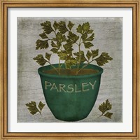 Framed Herb Parsley