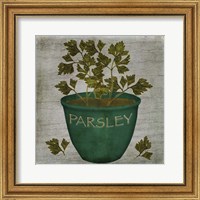 Framed Herb Parsley