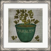 Framed Herb Parsley