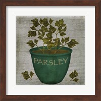 Framed Herb Parsley