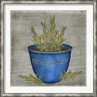 Framed Herb Rosemary