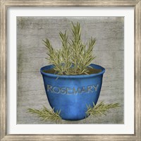 Framed Herb Rosemary