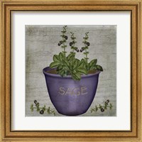 Framed Herb Sage