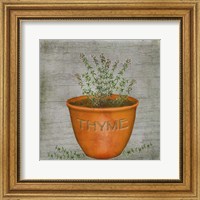 Framed Herb Thyme