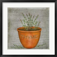 Framed Herb Thyme