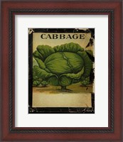 Framed Vintage Cabbage