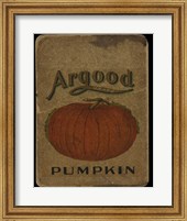 Framed Vintage Pumpkin