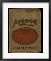 Framed Vintage Pumpkin