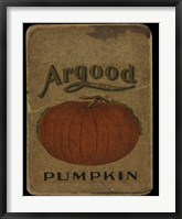 Vintage Pumpkin Framed Print