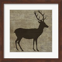 Framed Deer