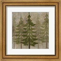 Framed Pines