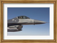Framed F-16 Fighting Falcon During a Training Mission
