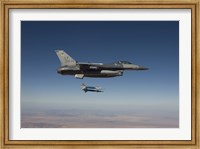 Framed F-16 Fighting Falcon Releases two GBU-12's