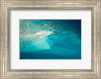 Framed Upolu Cay and Dive Boats, Great Barrier Reef Marine Park, Australia