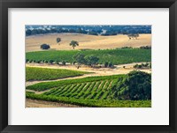 Framed Mountadam vineyard winery on High Eden Road, Barossa Valley, Australia