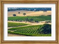 Framed Mountadam vineyard winery on High Eden Road, Barossa Valley, Australia