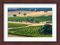 Framed Mountadam vineyard winery on High Eden Road, Barossa Valley, Australia