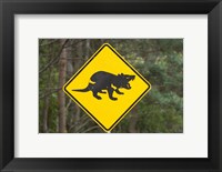 Framed Tasmanian Devil warning sign, Tasman Peninsula, Australia