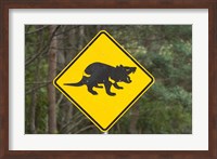 Framed Tasmanian Devil warning sign, Tasman Peninsula, Australia