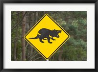 Framed Tasmanian Devil warning sign, Tasman Peninsula, Australia