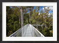 Framed AirWalk, Paths, Tahune Forest, Tasmania, Australia