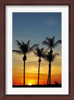Framed Beach, Palm trees, Mindil Beach, Darwin, Australia