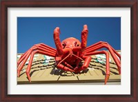 Framed Crustacean, Giant Lobster, Stanley, Tasmania, Australia